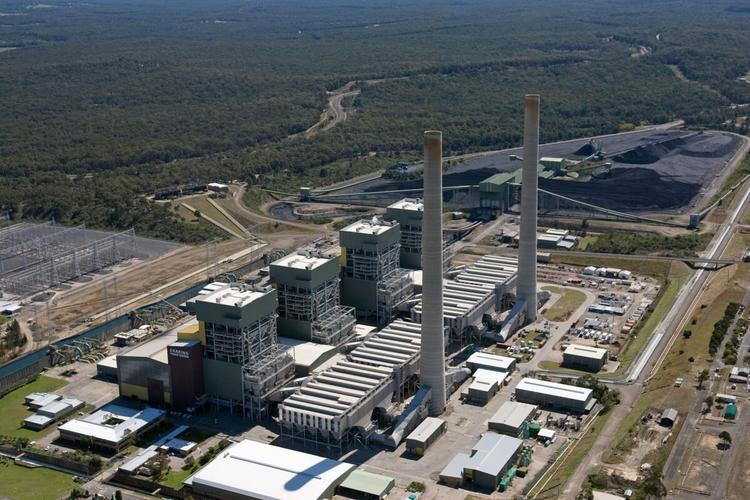 Data Centres Drive Surge in Biomass Energy Demand: Unlocking Clean Power with Wood Pellets