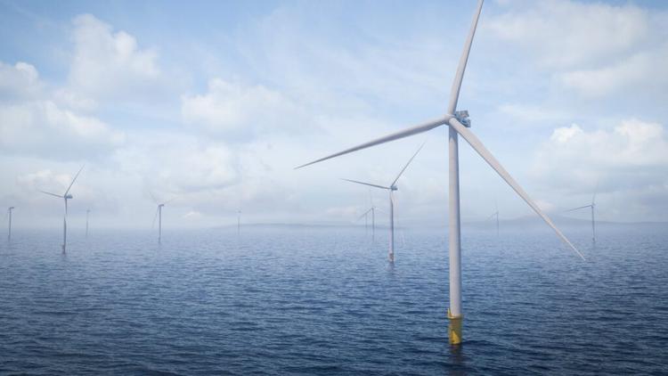 How the Halt of Offshore Wind Projects Highlights Opportunities for Biomass Energy and Wood Pellets