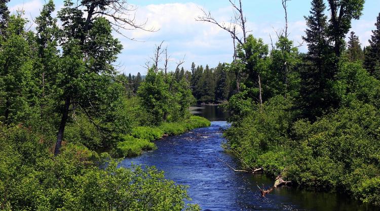 Biomass Energy and Wood Pellets: Navigating Clean Energy Challenges Amid Mining Threats Near Boundary Waters
