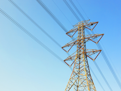 Permitting Reform Sparks New Momentum for Biomass Energy and Sustainable Fuel Development