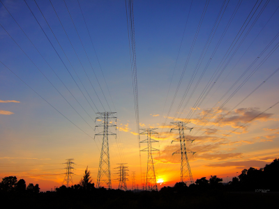 Interconnection Queue Rationing and Its Hidden Costs on Biomass Energy Growth and Sustainable Fuels