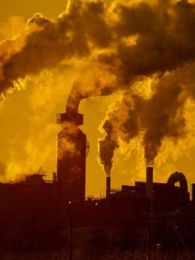 More Than 50 Countries Unite to Transition from Fossil Fuels Using Biomass Energy and Wood Pellets
