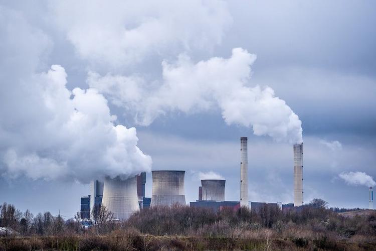 Reforming Clean Energy: Why the Safeguard Mechanism Falls Short in Cutting Emissions from Industrial Biomass Power Plants
