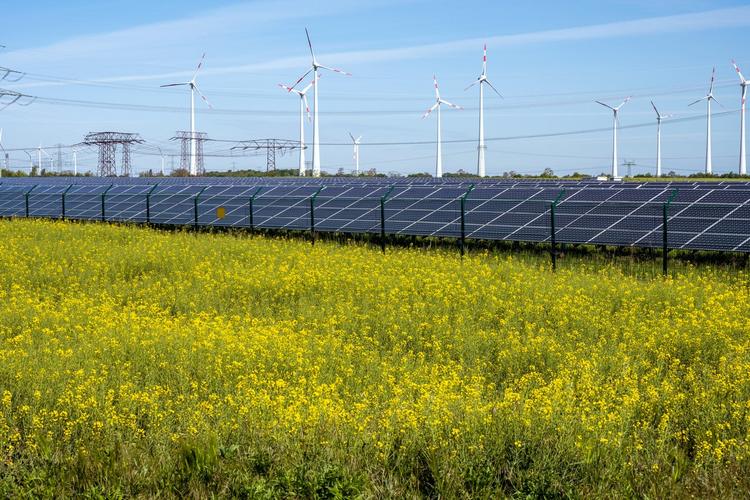 How Corporate Energy Buyers Are Accelerating Biomass Energy and Wood Pellet Adoption in the U.S. Clean Energy Transition
