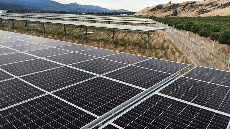 How Wood Pellets and Biomass Energy Can Bridge New Zealand’s Energy Gaps Amidst Ageing Gas and Drought Challenges