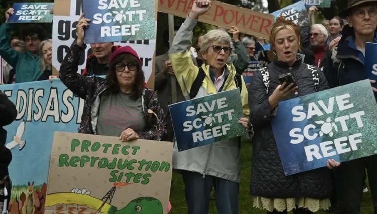 More Gas Will Cook Our Planet: The Rise of Biomass Energy and Wood Pellets as a Sustainable Fuel Alternative