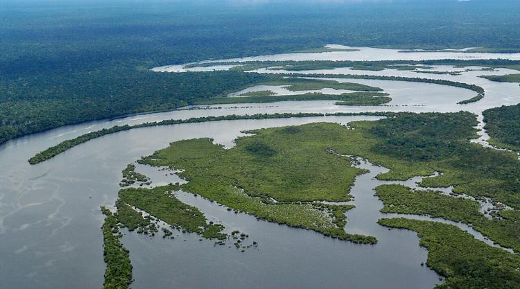 Swapping Out Diesel for Solar and Batteries: Transforming Electricity Generation in the Amazon Rainforest