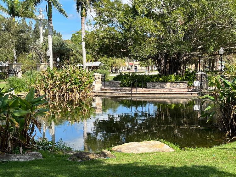 Urban Wetlands & Waterways Spotlight the Need for Nature-Inspired Solutions in Island Clean Energy Systems